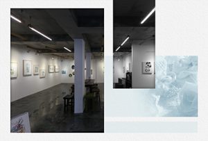 박보경展(갤러리 H)_20241001