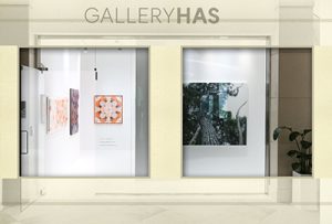 PRESENT_GALLERY HAS’ COLLECTION展(갤러리 하스)_20241221